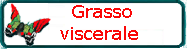 GRASSO VISCERALE