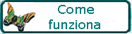 COME FUNZIONA