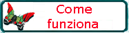 COME FUNZIONA